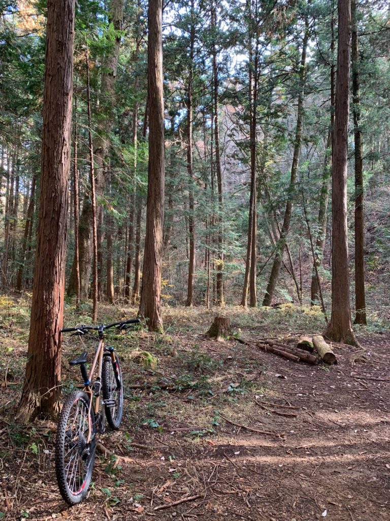 里山トレイル